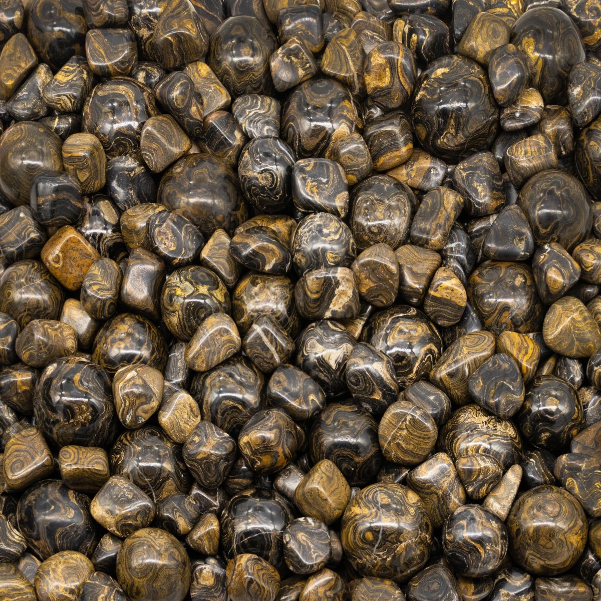 Stromatolite - Crystal River Gems