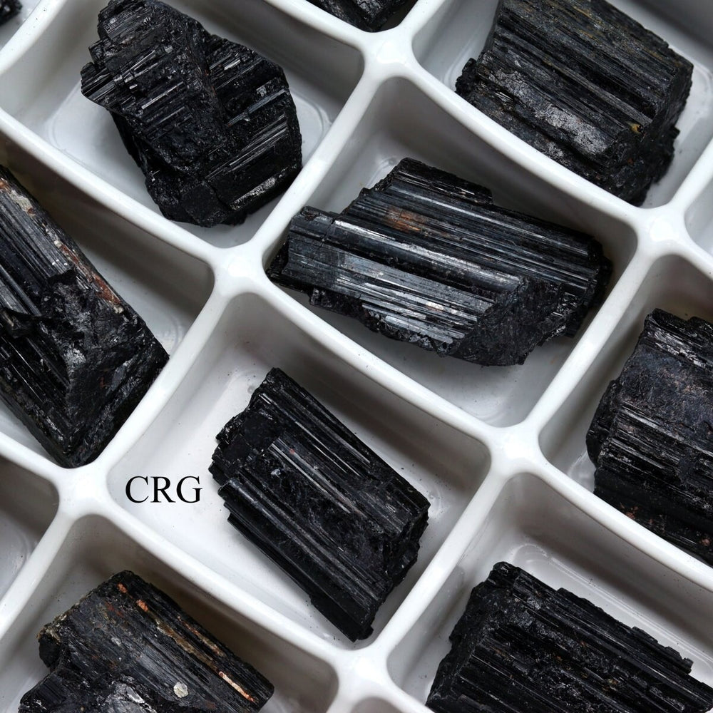 Rough Black Tourmaline Boxed Flat (24 Pieces) (1 to 1.5 Inches) Bulk Wholesale Crystals Minerals GemstonesCrystal River Gems
