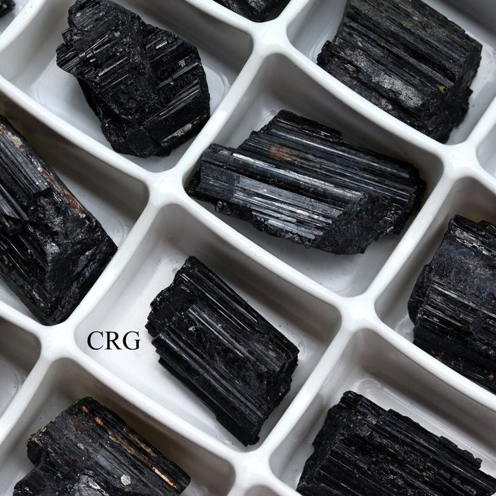 Rough Black Tourmaline Boxed Flat (24 Pieces) (1 to 1.5 Inches) Bulk Wholesale Crystals Minerals GemstonesCrystal River Gems