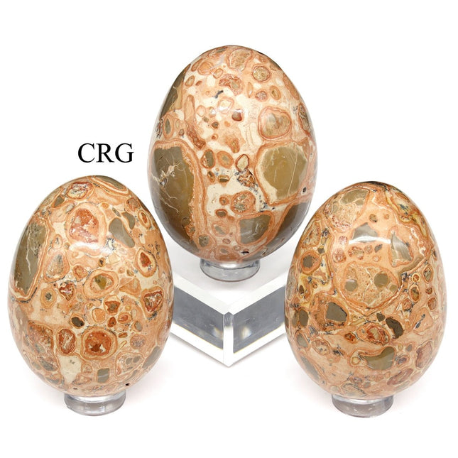 Leopardite Jasper Egg (1 Piece) Size 45 to 55 mm Polished Gemstone