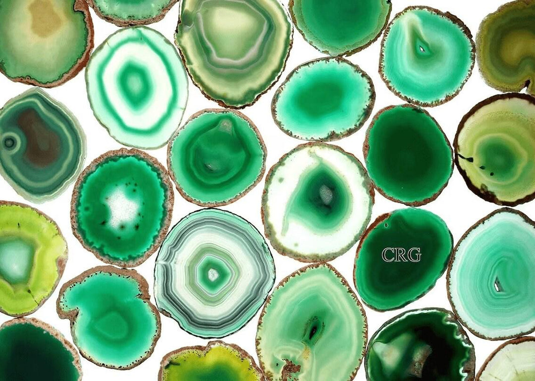 Green Agate Slice Size #5 (5 To 5.5 Inches) (1 Piece)