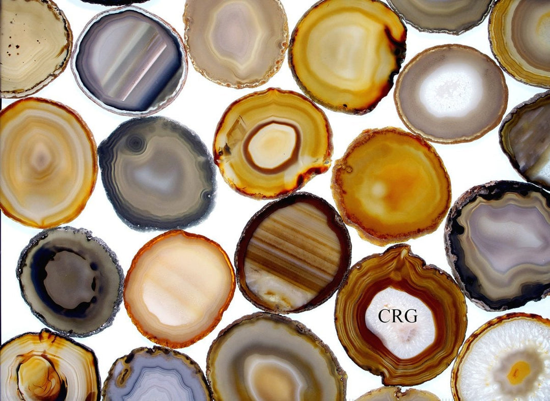 Natural Agate Slice Size #3 (3.5 To 4 Inches) (1 Piece)