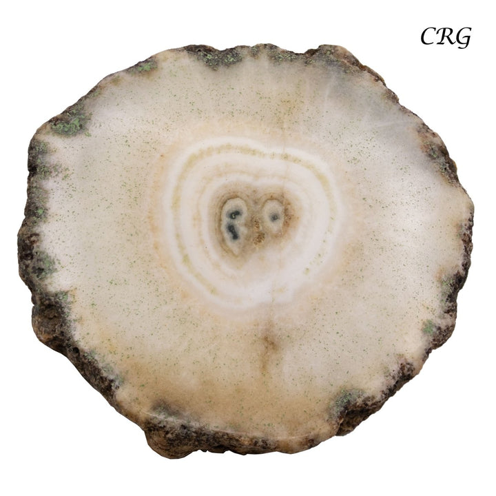 Agate Cabochons (75 Grams) Mixed Sizes Bulk Wholesale Lot Crystal MineralsCrystal River Gems