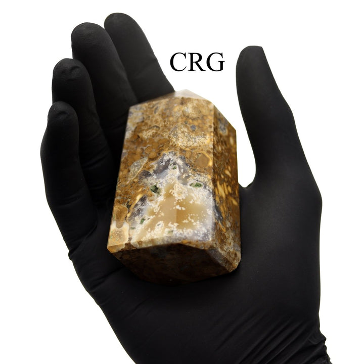 Conglomerate Jasper Point (1 Piece) Size 3 to 5 Inches 6 - Sided Standing Crystal Gemstone Home DecorCrystal River Gems
