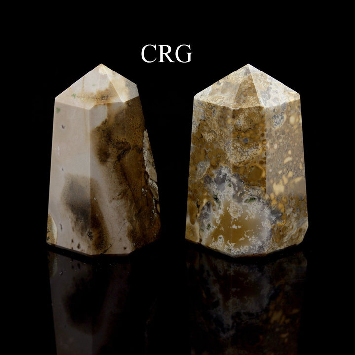Conglomerate Jasper Point (1 Piece) Size 3 to 5 Inches 6 - Sided Standing Crystal Gemstone Home DecorCrystal River Gems