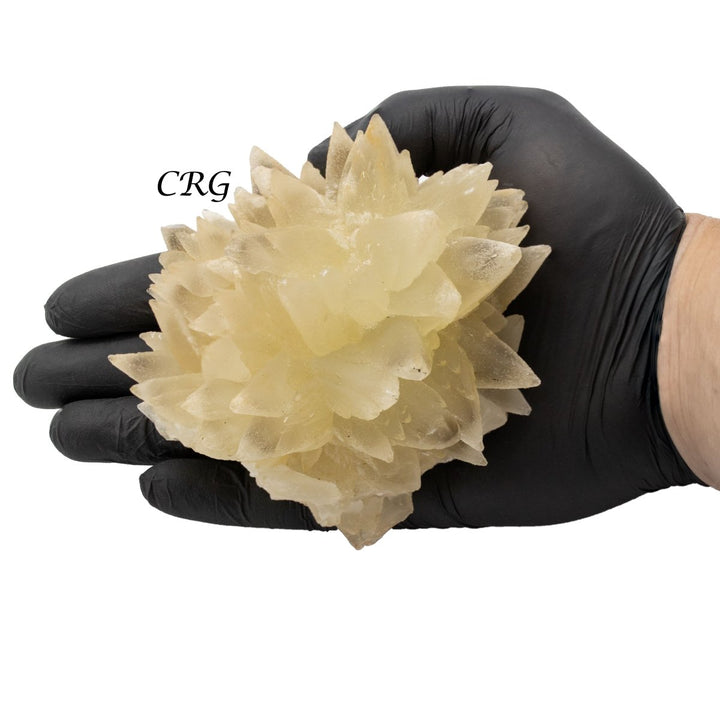 Dogtooth Calcite Cluster (2 Kilograms) Size 3 to 6 Inches Bulk Wholesale Lot Crystal GemstonesCrystal River Gems