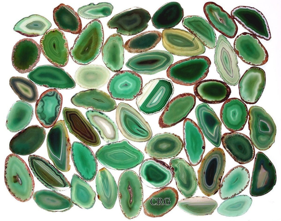 Green Agate Slice (Size #00) (1.5 to 2.5 inches) Grade A Brazilian Agate Geode Slice Wholesale CrystalsCrystal River Gems