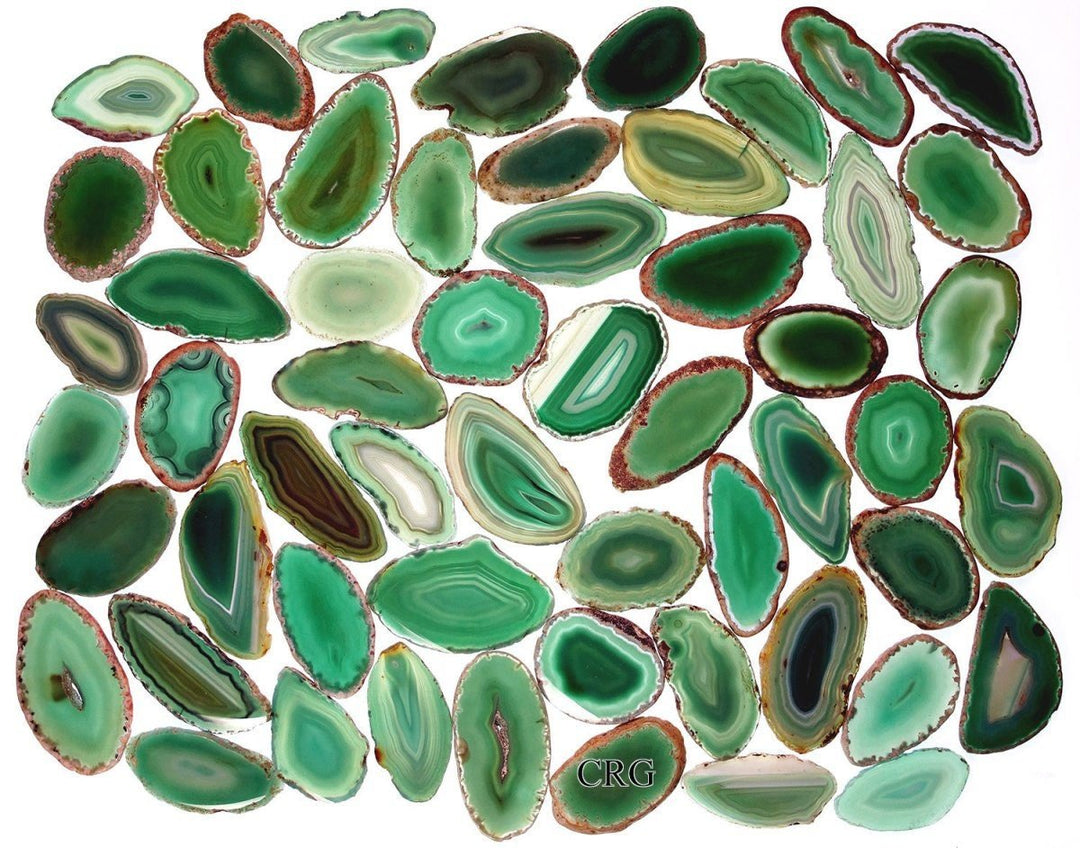 Green Agate Slice (Size #1) (2.5 to 3.5 inches) Grade A Brazilian Agate Geode Slice Wholesale CrystalsCrystal River Gems