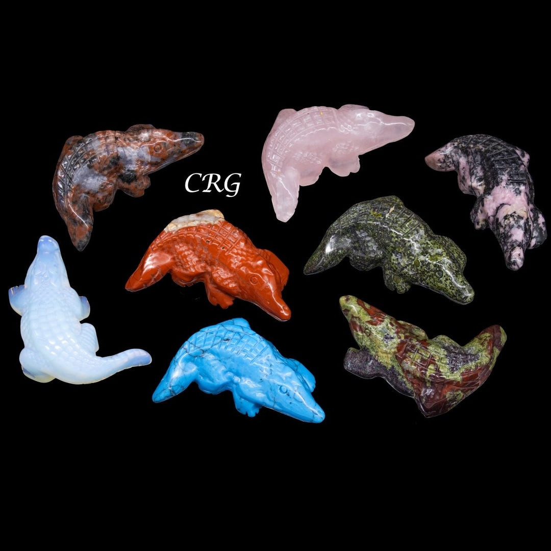 Mixed Gemstone Alligator Carvings (4 Pieces) Size 2 Inches Assorted Crystal AnimalsCrystal River Gems