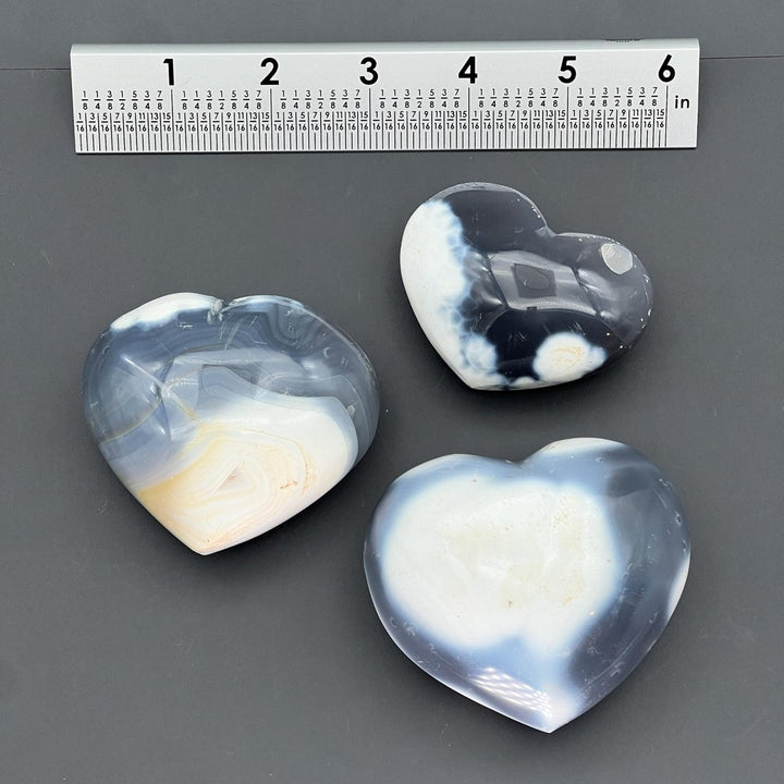 Orca Agate Heart Shape Gemstones DecorCrystal River Gems