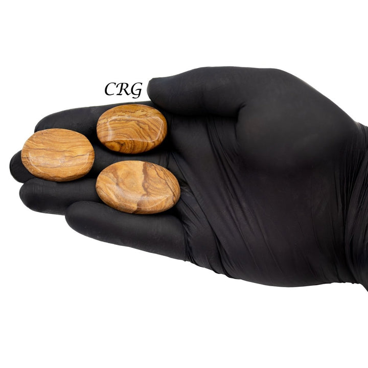 Picture Jasper Cabochons (75 Grams) Mixed Sizes Bulk Wholesale Lot Crystal MineralsCrystal River Gems