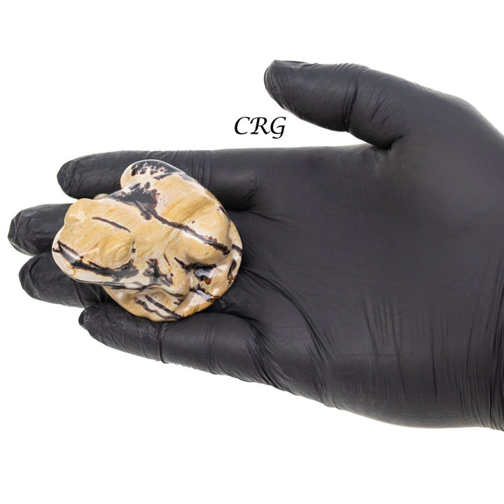 Picture Jasper Frog (1 Piece) Size 2.5 Inches Crystal Gemstone Animal CarvingCrystal River Gems