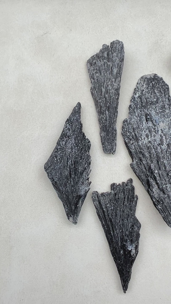 Black Kyanite Rough Fan Cluster (1 to 4 Inches) Bulk Gemstones