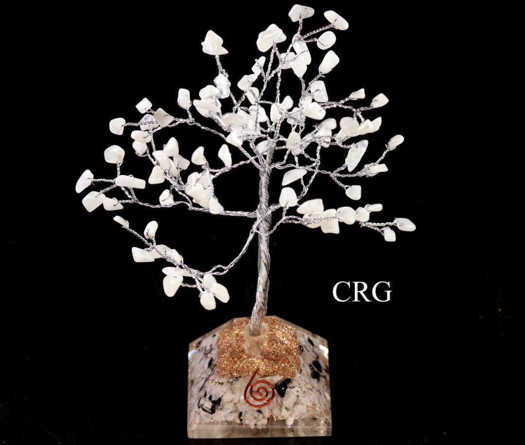 QTY 1 - Rainbow Moonstone 100 Chip Tree with Orgonite Pyramid Base / 7.5" AVGCrystal River Gems