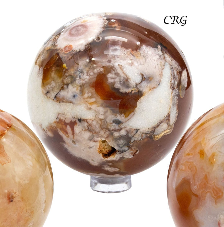 Red Flower Agate Crystal Sphere (1 Pound) Size 2 to 3 Inches Gemstone BallsCrystal River Gems