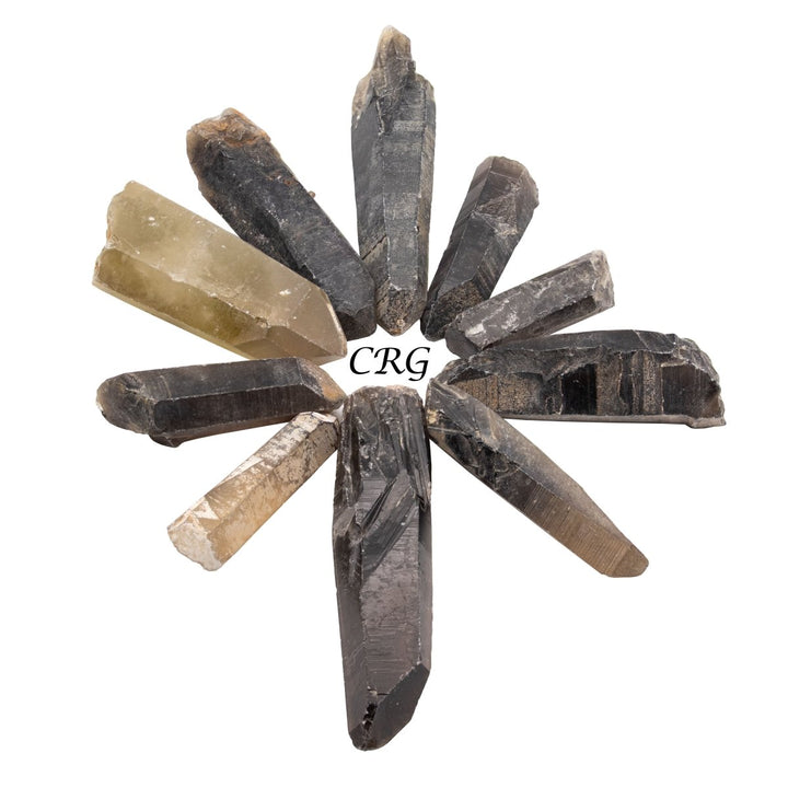 Smoky Quartz Points B - Grade (1 Kilogram) Size 2 to 5 Inches Bulk Wholesale Lot CrystalsCrystal River Gems