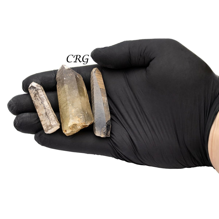 Smoky Quartz Points B - Grade (1 Kilogram) Size 2 to 5 Inches Bulk Wholesale Lot CrystalsCrystal River Gems