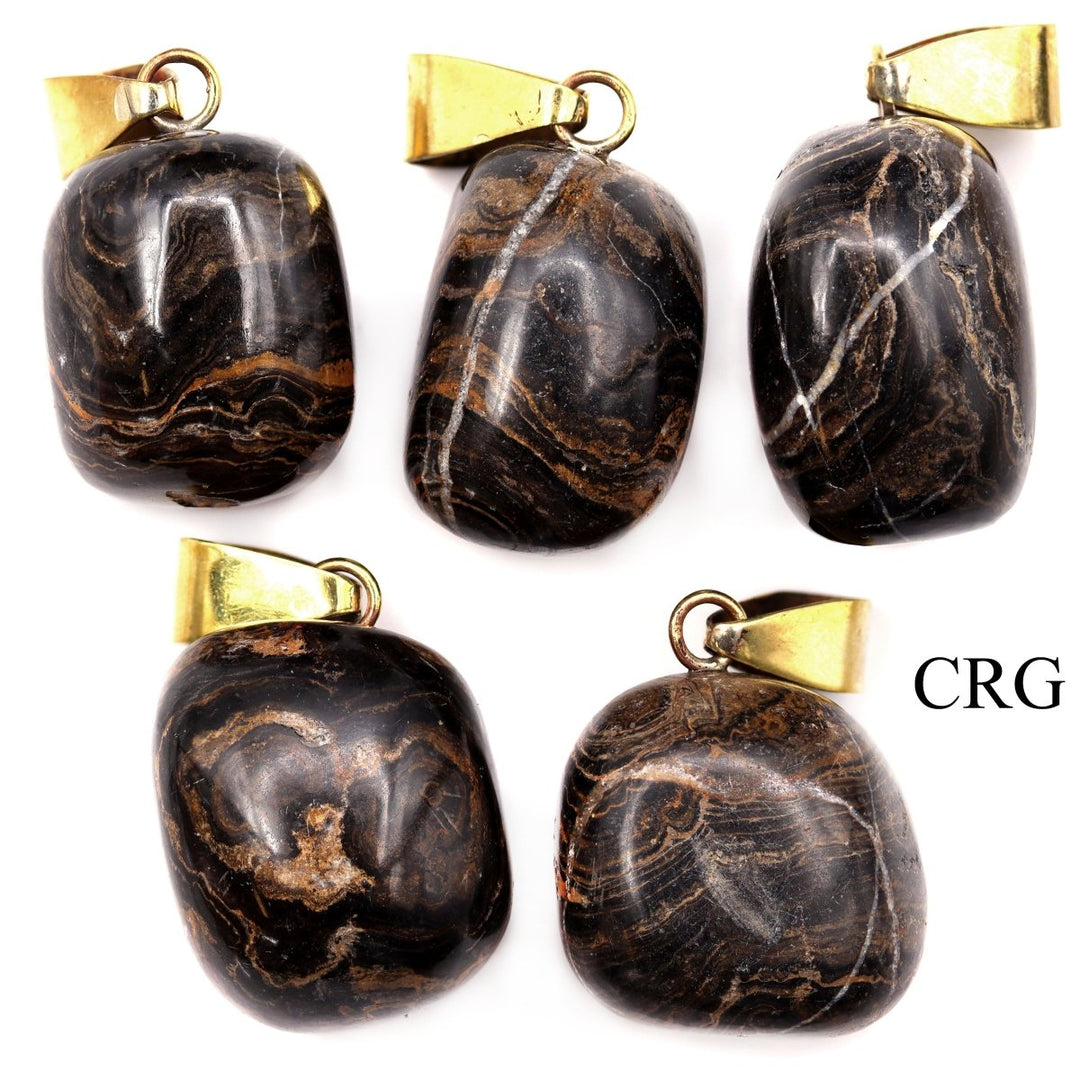 Stromatolite Tumbled Pendant with Gold Bail (1 Piece) Size 1 to 2 Inches Crystal Jewelry CharmCrystal River Gems