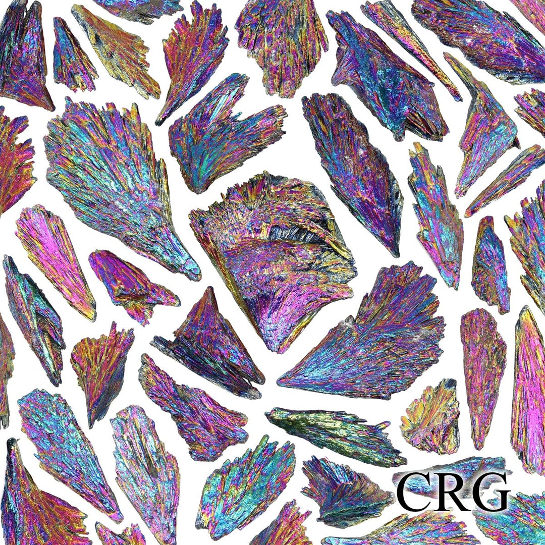 Titanium Aura Kyanite Fans (1 Pound) Size 1 to 4 Inches Bulk Wholesale Lot Crystal MineralsCrystal River Gems
