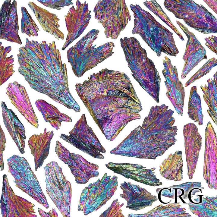 Titanium Aura Kyanite Fans (1 Pound) Size 1 to 4 Inches Bulk Wholesale Lot Crystal MineralsCrystal River Gems