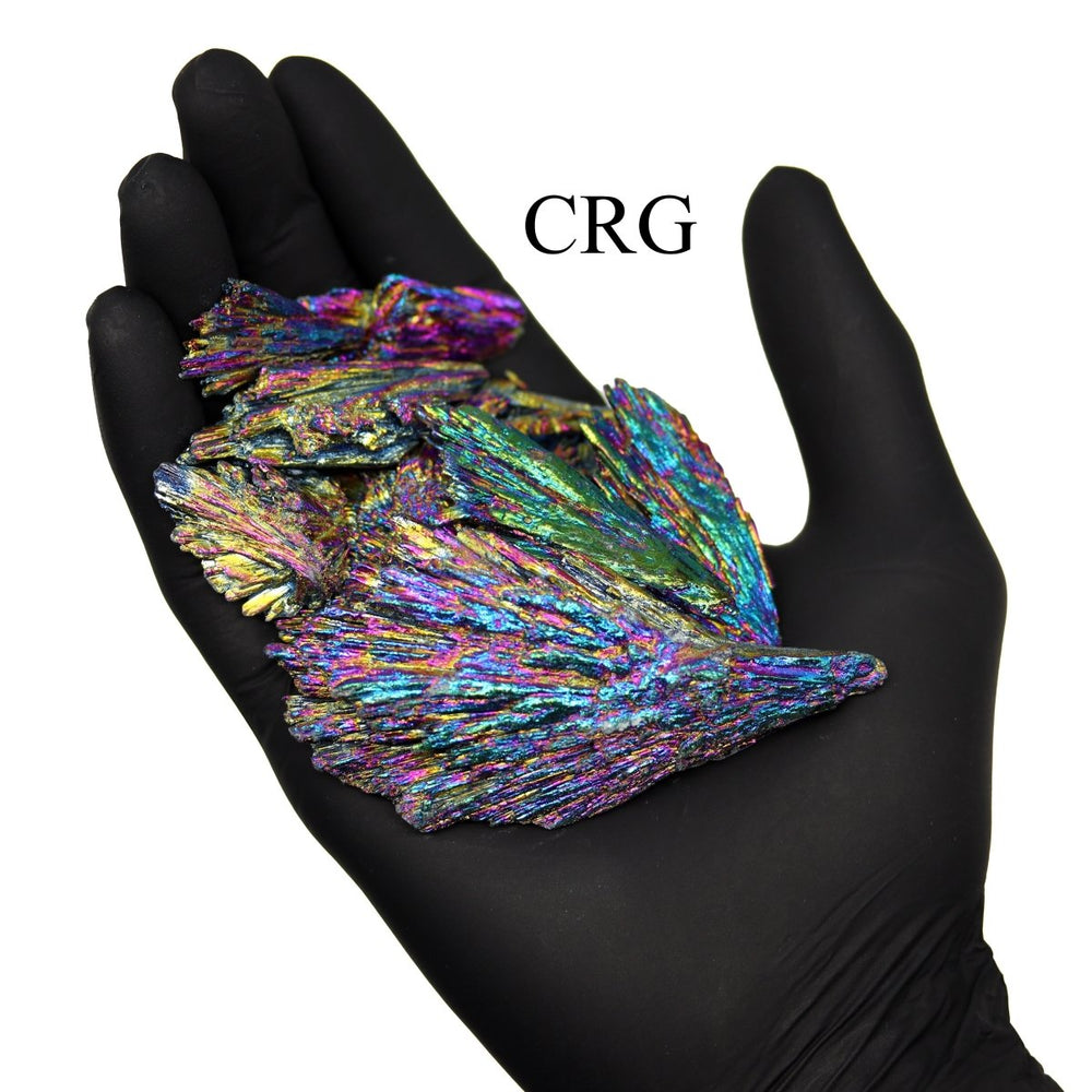 Titanium Aura Kyanite Fans (1 Pound) Size 1 to 4 Inches Bulk Wholesale Lot Crystal MineralsCrystal River Gems