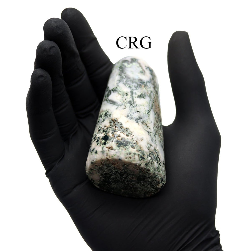 Tree Agate Freeform Boulder (1 Piece) Size 3 to 5 Inches Standing Crystal Gemstone Home DecorCrystal River Gems