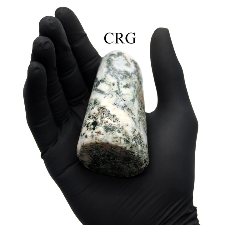 Tree Agate Freeform Boulder (1 Piece) Size 3 to 5 Inches Standing Crystal Gemstone Home DecorCrystal River Gems