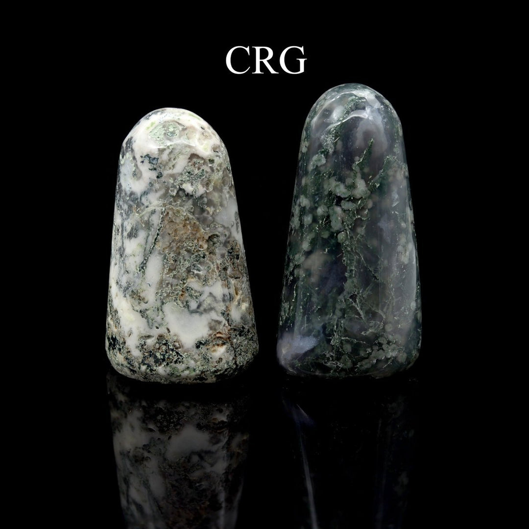Tree Agate Freeform Boulder (1 Piece) Size 3 to 5 Inches Standing Crystal Gemstone Home DecorCrystal River Gems