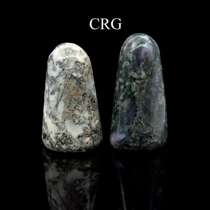 Tree Agate Freeform Boulder (1 Piece) Size 3 to 5 Inches Standing Crystal Gemstone Home DecorCrystal River Gems