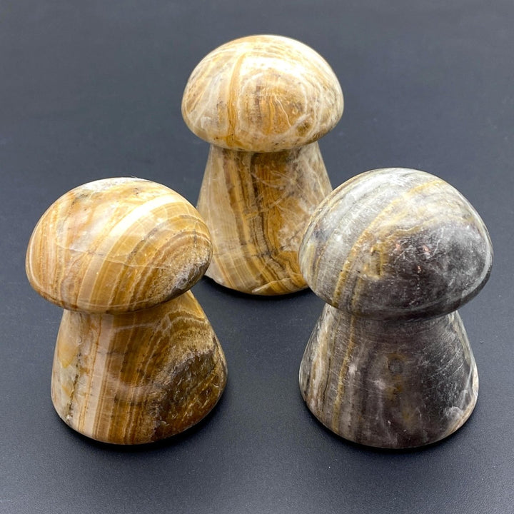 Yellow Banded Onyx Mushroom CarvingCrystal River Gems