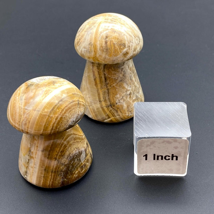 Yellow Banded Onyx Mushroom CarvingCrystal River Gems