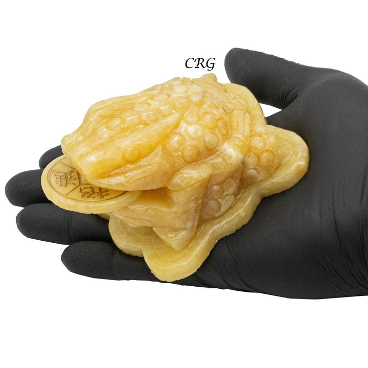 Yellow Calcite Good Lucky Money Frog Toad (1 Piece) Size 3 Inches Crystal Gemstone Animal CarvingCrystal River Gems