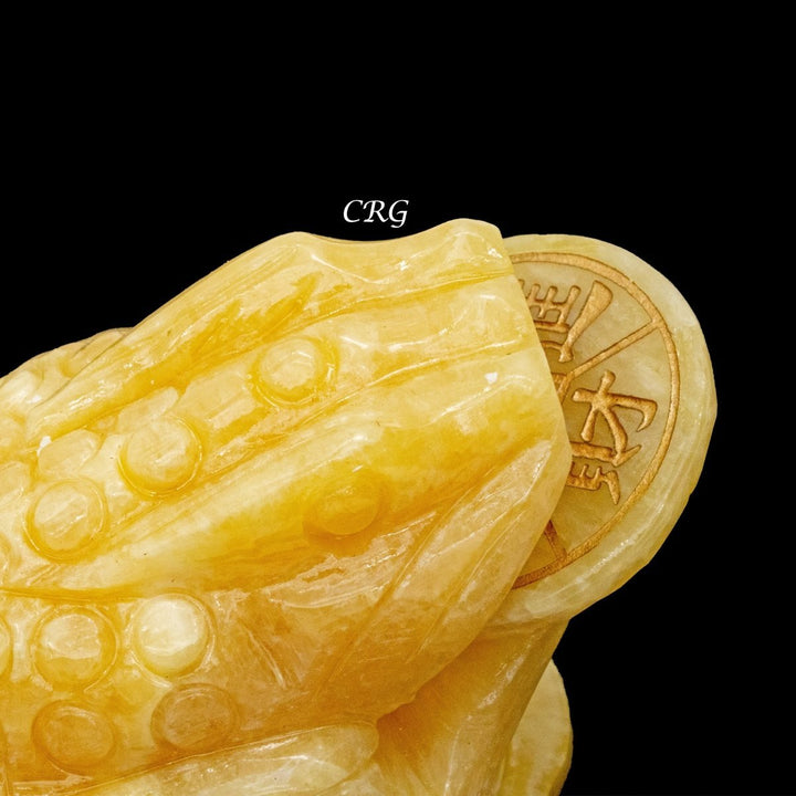 Yellow Calcite Good Lucky Money Frog Toad (1 Piece) Size 3 Inches Crystal Gemstone Animal CarvingCrystal River Gems