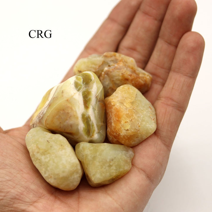 Yellow Opal Smooth Rock (8 Ounces) Size 0.5 to 2 Inches Crystal Gemstone MineralsCrystal River Gems