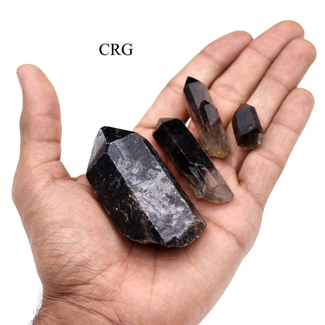 Dark Smoky Quartz Points / 1 - 4" AVG - 1 KILO LOTCrystal River Gems