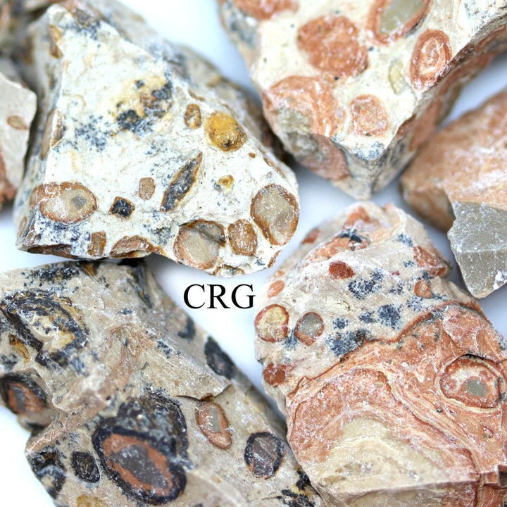 Rough Leopard Skin Jasper / 1 - 2" AVG - 1 KILO LOTCrystal River Gems
