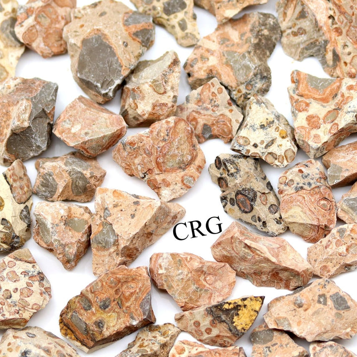 Rough Leopard Skin Jasper / 1 - 2" AVG - 1 KILO LOTCrystal River Gems