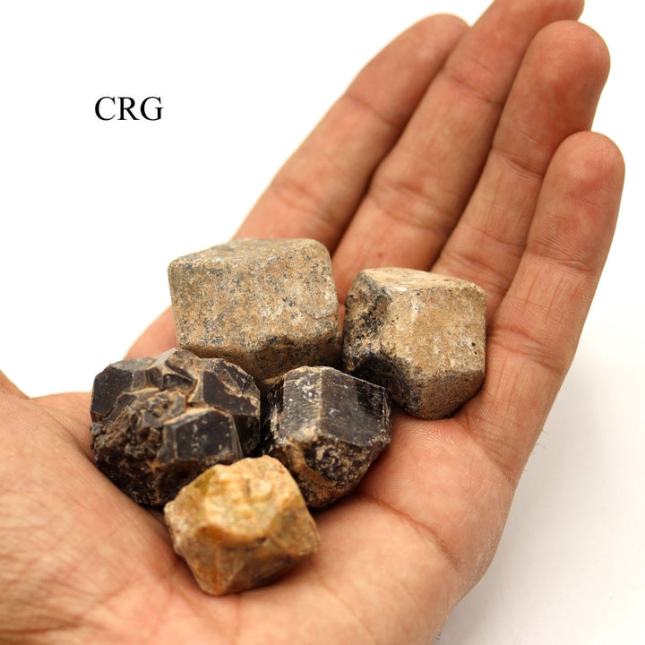 Rough Multicolored Garnets / 0.75 - 1.75" AVG - 1 KILO LOTCrystal River Gems