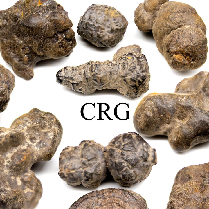 Rough Prophecy Stone / 1" AVG - 1 KILO LOTCrystal River Gems