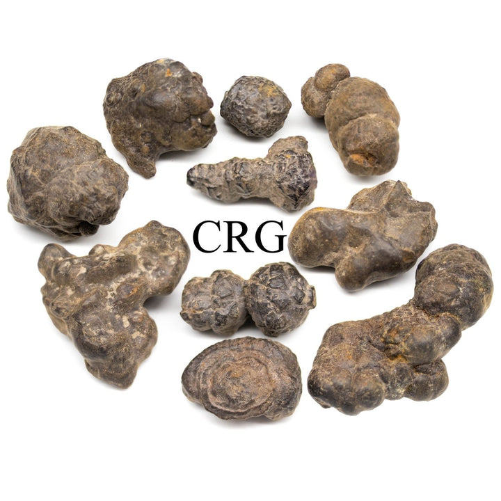 Rough Prophecy Stone / 1" AVG - 1 KILO LOTCrystal River Gems