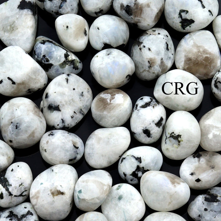 Tumbled Rainbow Moonstone / 30 - 35mm AVG - 1 KILO LOTCrystal River Gems