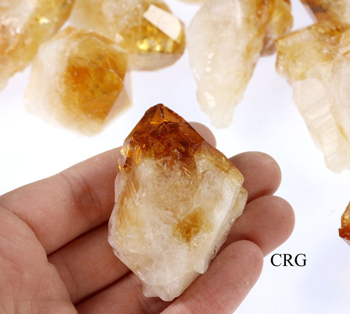 Raw Citrine Points / 2 - 3.5" AVG - 1 KILO LOTCrystal River Gems