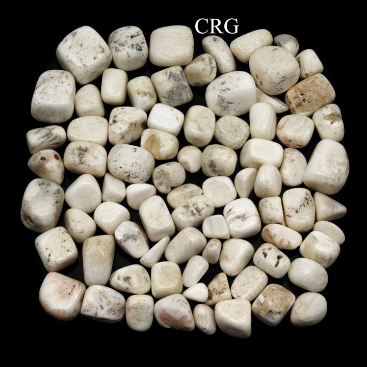 Tumbled Scolecite / 20 - 40mm AVG - 1 LB. LOTCrystal River Gems