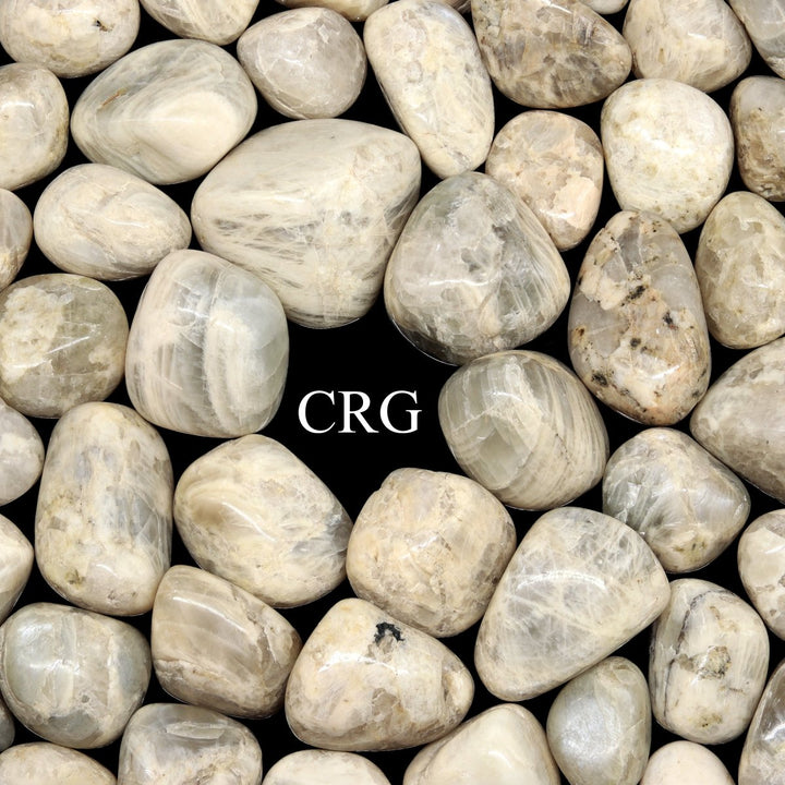 Tumbled Silver Moonstone / 20 - 50mm AVG - 1 KILO LOTCrystal River Gems