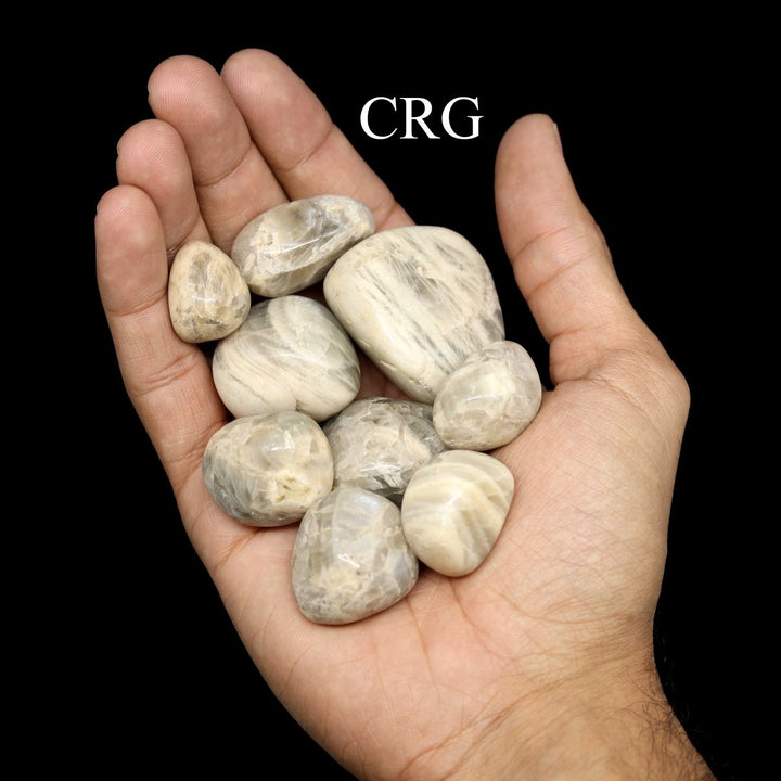 Tumbled Silver Moonstone / 20 - 50mm AVG - 1 KILO LOTCrystal River Gems
