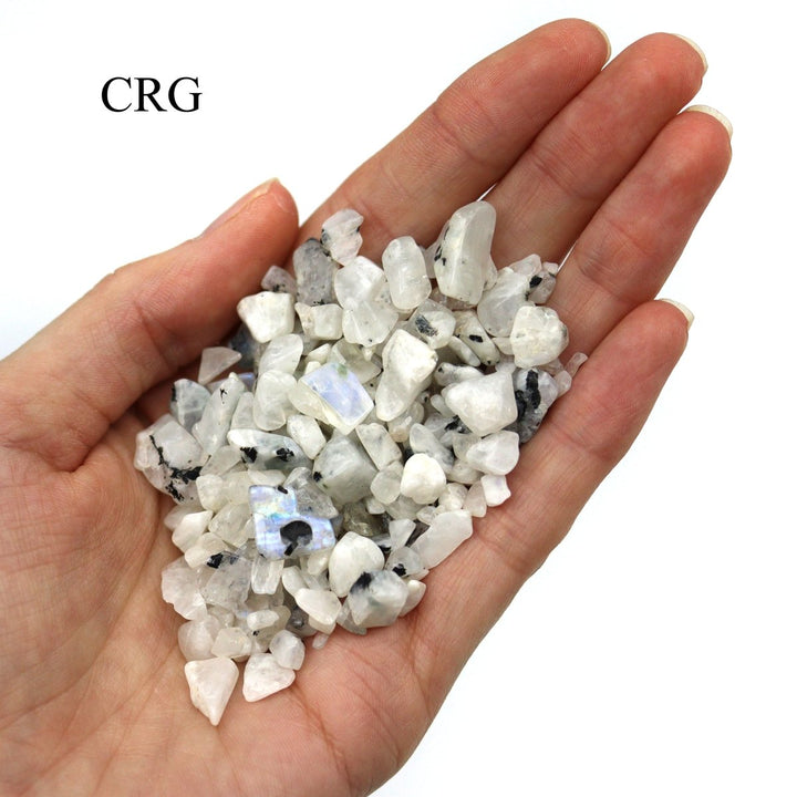 Tumbled White Rainbow Moonstone Confetti Chips / 4 - 7mm AVG - 1 KILO LOTCrystal River Gems