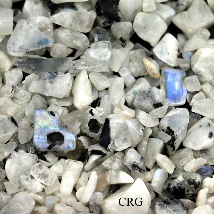 Tumbled White Rainbow Moonstone Confetti Chips / 4 - 7mm AVG - 1 KILO LOTCrystal River Gems