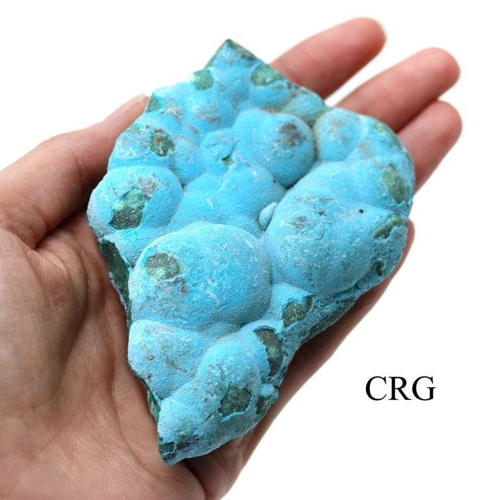 Malachite Freeforms with Chrysocolla / 2 - 5" AVG - 1 KILO LOTCrystal River Gems