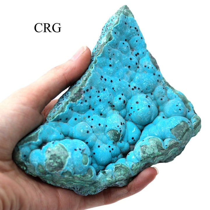 Malachite Freeforms with Chrysocolla / 2 - 5" AVG - 1 KILO LOTCrystal River Gems
