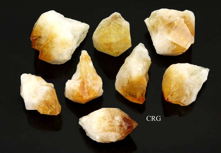 Raw Extra Quality Citrine Points / 3 - 5" AVG - 1 LB. LOTCrystal River Gems